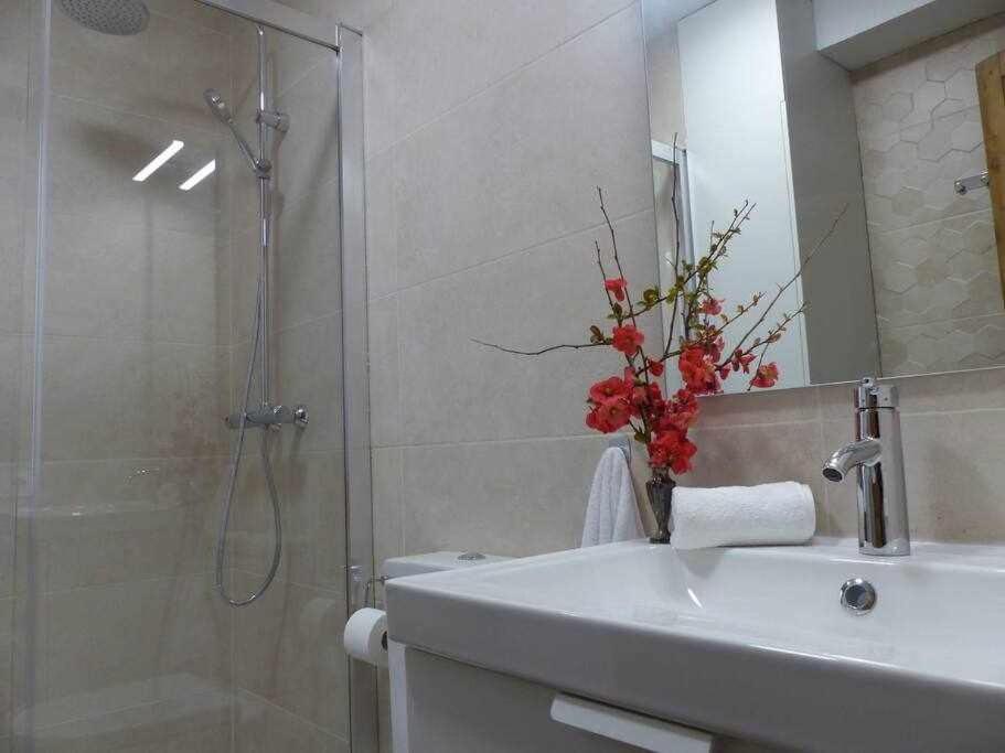 Abside de San Juan II Apartment Estella Bagian luar foto